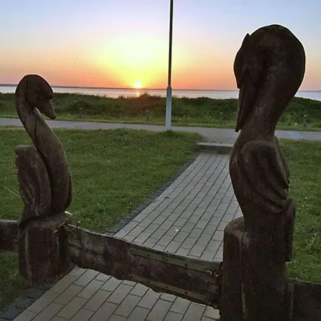 Rosa 6 - Seagull's Nest * Glowe