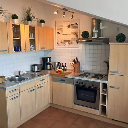 Rosa 6 - Seagull's Nest *